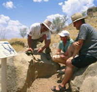 Riversleigh Fossil Fields - Accommodation Search