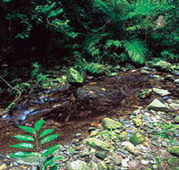 Wompoo Walk - Accommodation Search