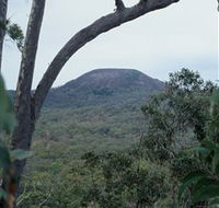 Mount Fox - Accommodation Search