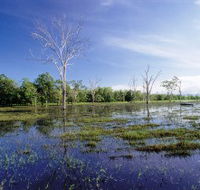 Tyto Wetlands - Accommodation Search