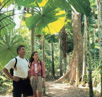Licuala State Forest - Accommodation Search