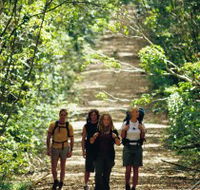 Wet Tropics Great Walk - Accommodation Search