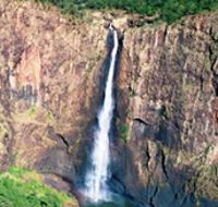Buujan Quiinbiira Walk Wet Tropics Great Walk - Accommodation Search