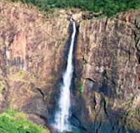Gugigugi Butterfly Walk Wet Tropics Great Walk - Accommodation Search