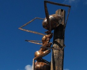 Augathella Meat Ant Park And Sculpture - Accommodation Search 0