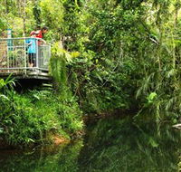 Djiru National Park - Accommodation Search