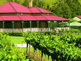 OReillys Canungra Valley Vineyards - Accommodation Search 0
