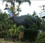 The Big Cassowary - Accommodation Search