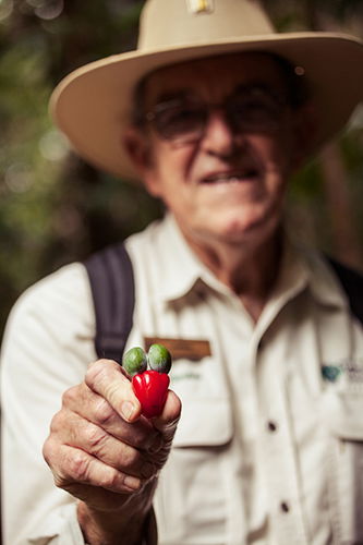 Tondoon Botanic Gardens - Accommodation Search 1