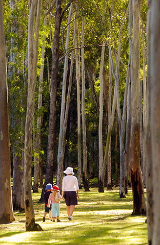 Tondoon Botanic Gardens - Accommodation Search 3