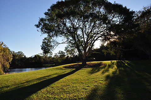 Tondoon Botanic Gardens - Accommodation Search 4