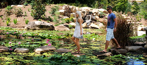 Tondoon Botanic Gardens - Accommodation Search 7