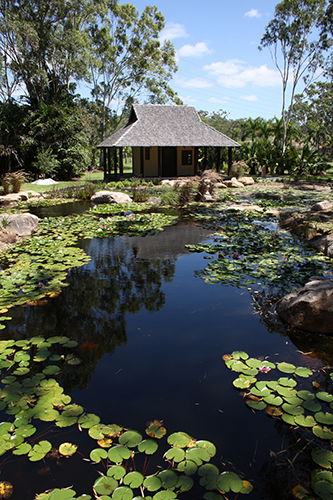 Tondoon Botanic Gardens - Accommodation Search 8