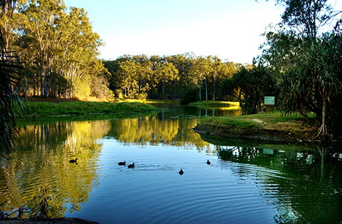 Tondoon Botanic Gardens - Accommodation Search 9