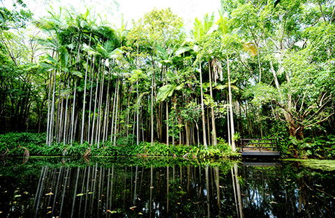 Tondoon Botanic Gardens - Accommodation Search 11