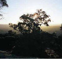 Yarra Flats