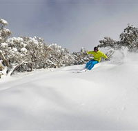 Mt Buller and Mt Stirling Alpine Resort - Accommodation Search