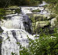 Agnes Falls Scenic Reserve - Accommodation Search