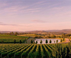 Oakridge Wines - Accommodation Search 0
