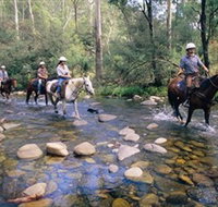 Howqua Hills Historic Area - Accommodation Search