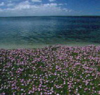 The Lakes National Park - Accommodation Search