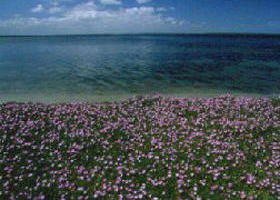 The Lakes National Park - Accommodation Search 0