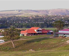 Bacchus Hill Winery - Accommodation Search 0