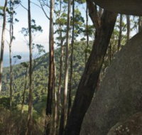 Gulaga National Park - Accommodation Search