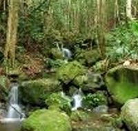 Budderoo National Park - Accommodation Search