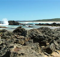 Coastal Walks - Bermagui - Accommodation Search
