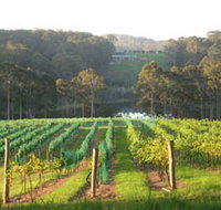 Tilba Valley Wines - Accommodation Search
