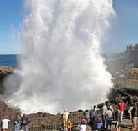 Kiama Blowhole - Accommodation Search