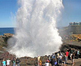 Kiama Blowhole - Accommodation Search 0