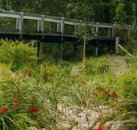 Eurobodalla Botanic Gardens - Accommodation Search