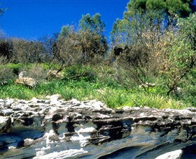 Abrahams Bosom Reserve - Accommodation Search 0