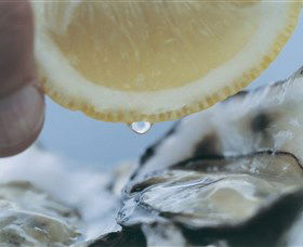 Pearly Oyster Bar And Farm - Accommodation Search 0