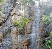 Wedding Bells Forest Drive - Accommodation Search