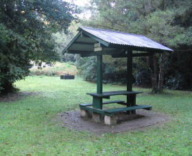 Pine Creek State Forest - Accommodation Search 0