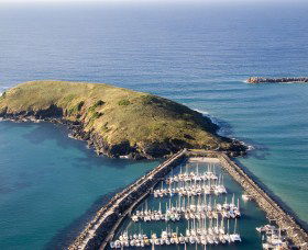 Muttonbird Island Nature Reserve - Accommodation Search 0