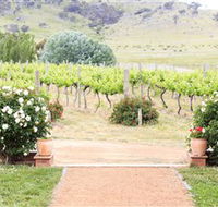 Brindabella Hills Winery - Accommodation Search