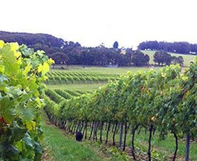 Exeter NSW Accommodation Search