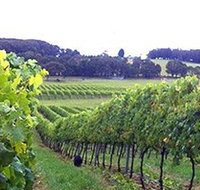 Banjo's Run Winery and Vineyard - Accommodation Search