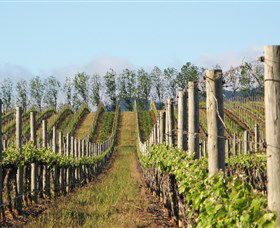 Philip Shaw Wines - Accommodation Search 0