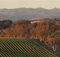 Angullong Wines - Accommodation Search