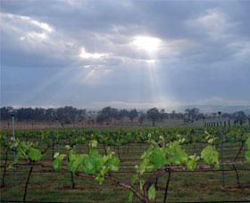 Thunder Ridge Wines - Accommodation Search 1
