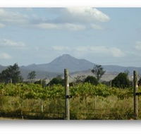 Ironbark Ridge Vineyard - Accommodation Search