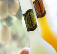 Ambra Limoncello - Accommodation Search