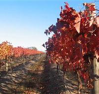 Kooyonga Creek Wines - Accommodation Search