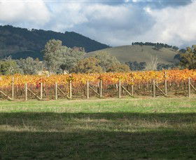 Kooyonga Creek Wines - Accommodation Search 4