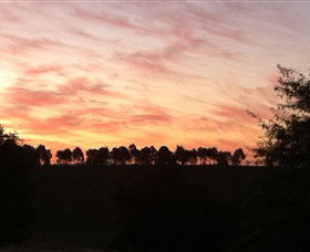 Kooyonga Creek Wines - Accommodation Search 2